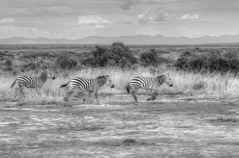 kenya_2012_KEN_1566_hdr